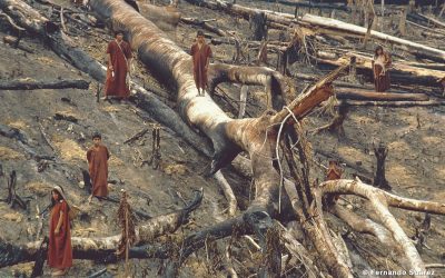 ENCUENTRO  ONLINE ACAMPA 2020 SOBRE LA CRÍTICA SITUACIÓN DE LOS PUEBLOS INDÍGENAS DEL BRASIL POR LA DEFORESTACIÓN, EL EXPOLIO DE SUS TIERRAS ANCESTRALES Y LA REAL AMENAZA DE EXTINCIÓN POR EL CORONAVIRUS