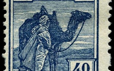 ACAMPA CONDENA LA ÚLTIMA OFENSIVA MILITAR DE MARRUECOS CONTRA EL PUEBLO SAHARAUI Y RECUERDA EL EXPOLIO DE RECURSOS QUE HAY DETRÁS DE LA OCUPACIÓN